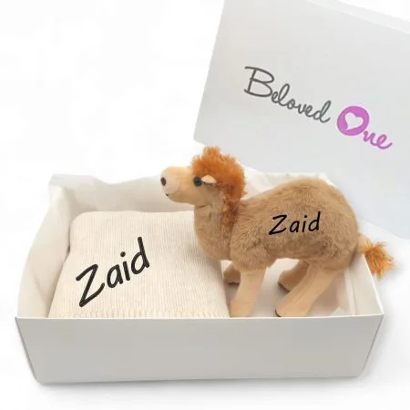 Camel Set
